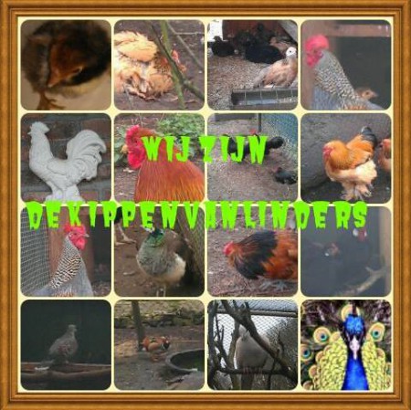 ziet u er iets moois tussenzitten? neem dan telefonisch contact op